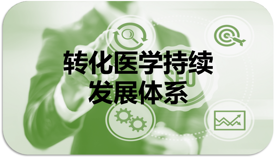 课程体系